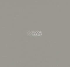 Линолеум Forbo Marmoleum Decibel on Order 336735 alloy фото 1 | FLOORDEALER